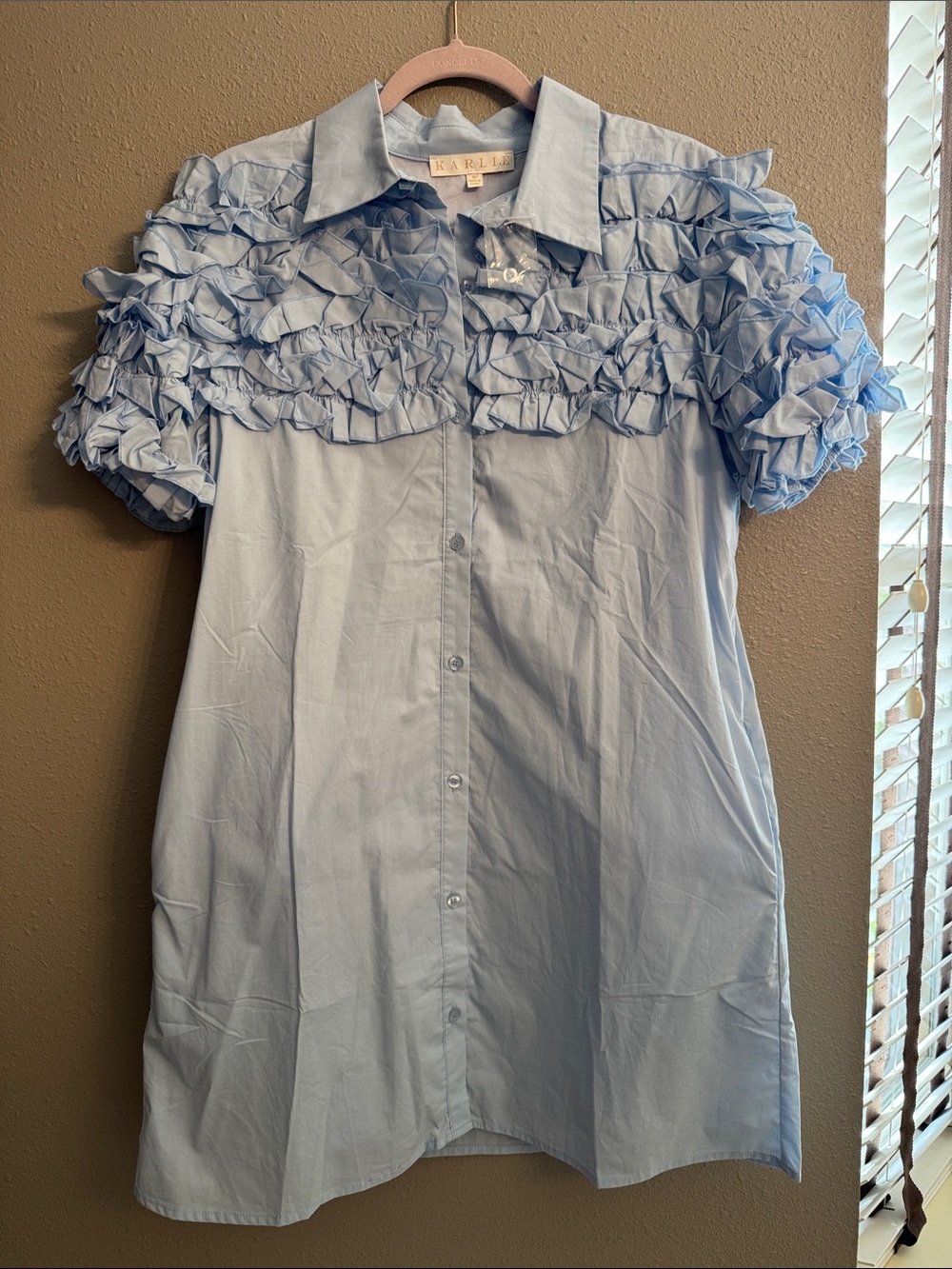 Karlie Light Blue Ruffle Button-Down Mini Dress
